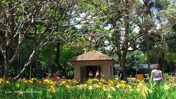 Bosque de Leitura Ibirapuera